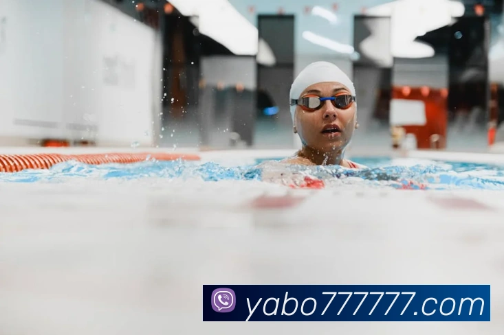 yabo亚博平台生态图