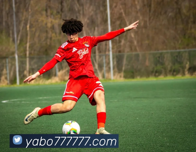 yabo亚博全站App yabo亚博全站App